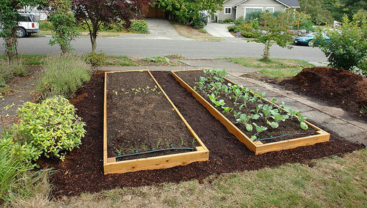 How to build a raised garden bed
Here’s an easy tutorial on how to construct your own raised garden bed in five easy steps.
