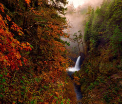 myprettyuniverse:Metlako Falls in Autumn