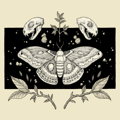 thestrangeforest: Moth &amp; Skulls