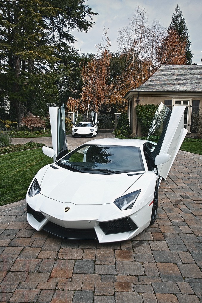 drugera:  Aventador’s    