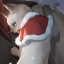 puddingsdiary