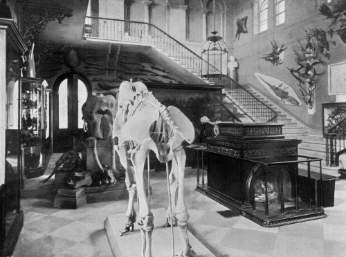 funeral-wreath: Natural history museum of the Royal Victoria Military Hospital at Netley, near South