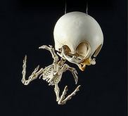 sixpenceee:  Korean artist Hyungkoo Lee imagines what may lie beneath the skins of