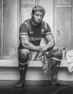 rugbyplayerandfan:  Rugby players, hairy