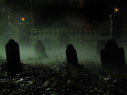 365 Days of Halloween