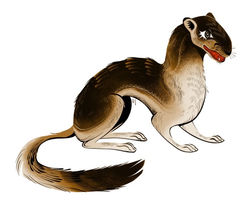 euqinimodart:  Weasel and Mongoose