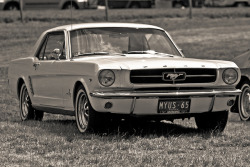 ford-mustang-generation:  Picnic at Hanging Rock 2013 by evvvvan on Flickr.