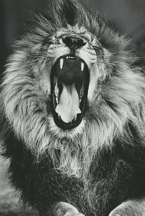edigarledezma:  Click for a DOPE blog//Instagram