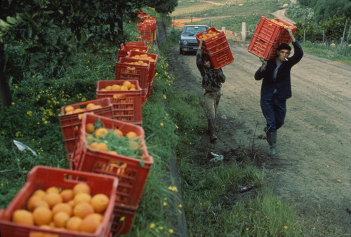 fotojournalismus: Sicily, 1984. Photographs by Ferdinando Scianna