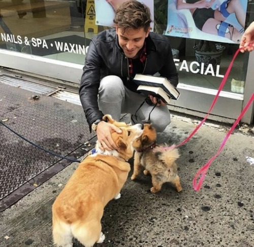 fionapplesauce: Antoni Porowski + corgis