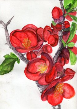 havekat:  Crux Blossoming Watercolor On Paper