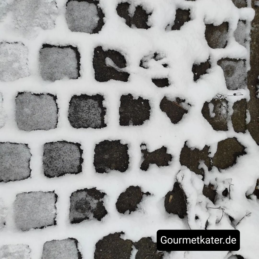 Schneemuster auf dem Weg

www.gourmetkater.de