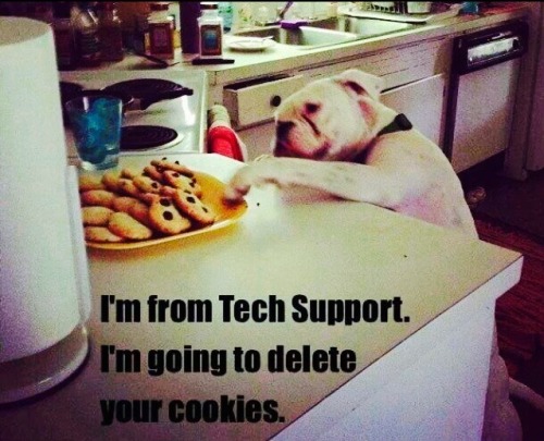 I’m from tech support. I’m going to delete your cookies.