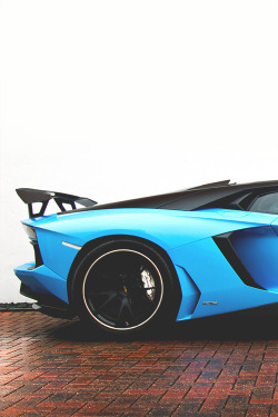 wearevanity:  Aventador © 