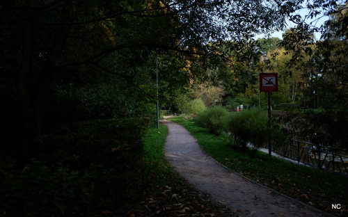 Paths of autumn.