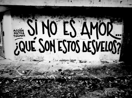 accionpoeticafotos:  Acción poética Tucuman