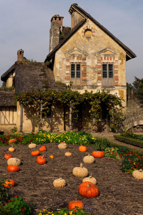 janzanato: Versailles - The Mill