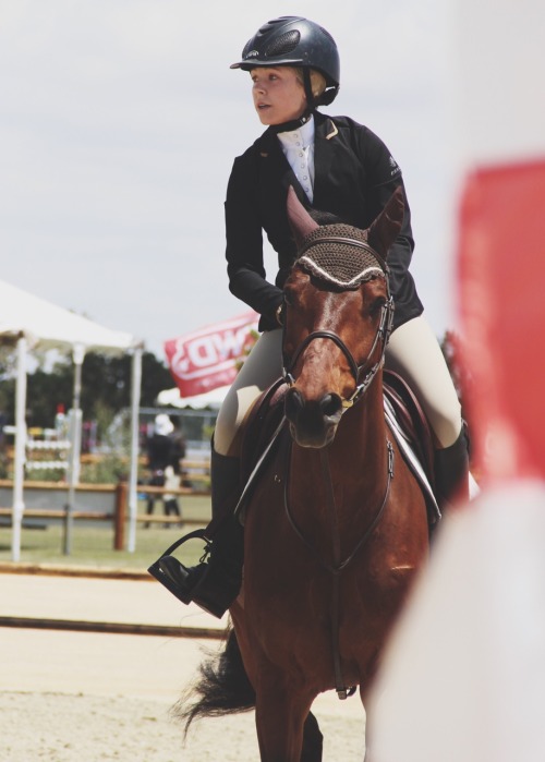 Paso Robles Horse Show || Memorial Classic 2015