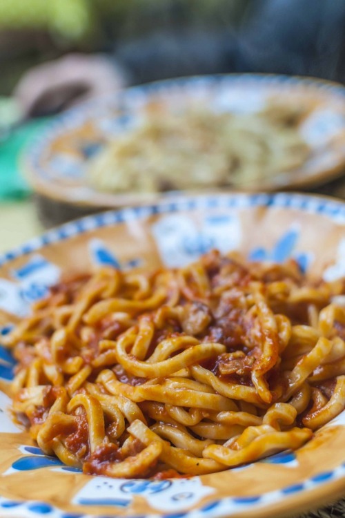 Pici al ragù di agnello: un grande primo piatto della cucina italiana 