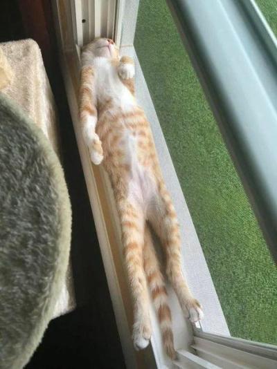 catasters: