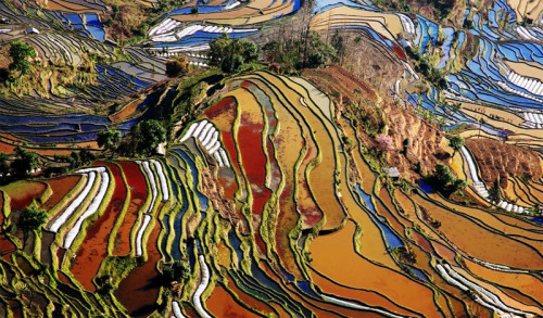 bethyngalw:Patterns in water and soilRice fieldsThierry Bornier, Jialiang Gao, Asian insights, Tan T