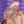 Raja and Raven when they walk into the WoW basement and realize they have 33 looks