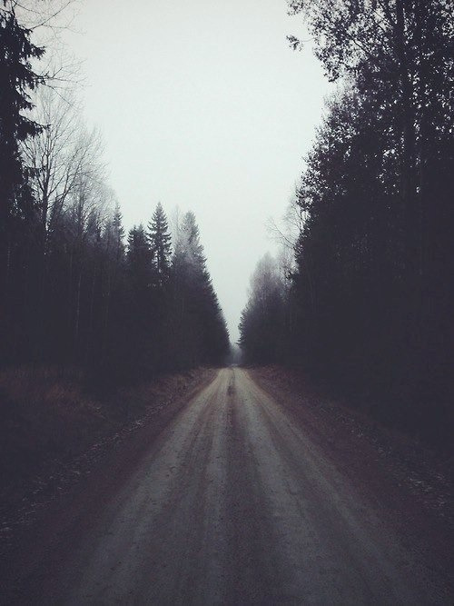alaskandreams - W A N D E R L U S T