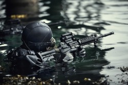 house-of-gnar:  Norwegian military amphibious