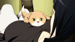 kureijiotaku:  Dokusonmaru is just so darn cute.