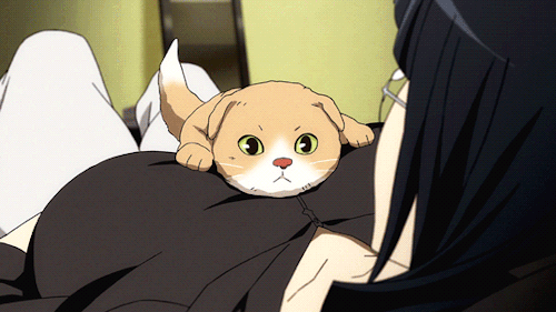 kureijiotaku:  Dokusonmaru is just so darn cute.