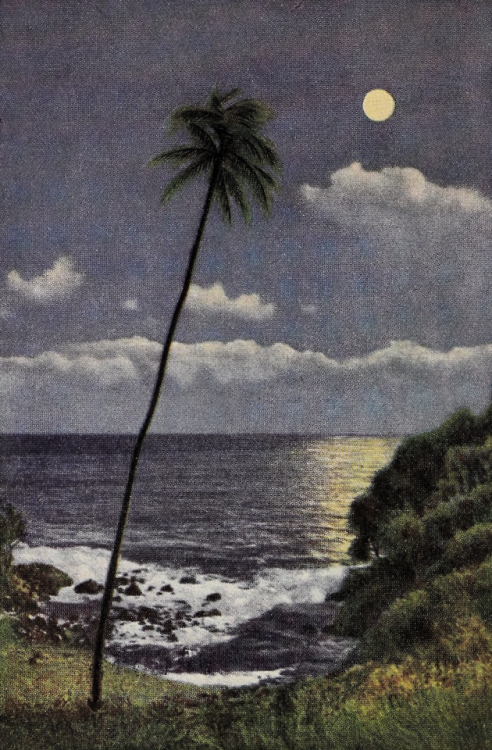 nemfrog: Moonlight on the cove. Our Environment: How We Adapt Ourselves to It - Book II. 1937. Frontispiece.