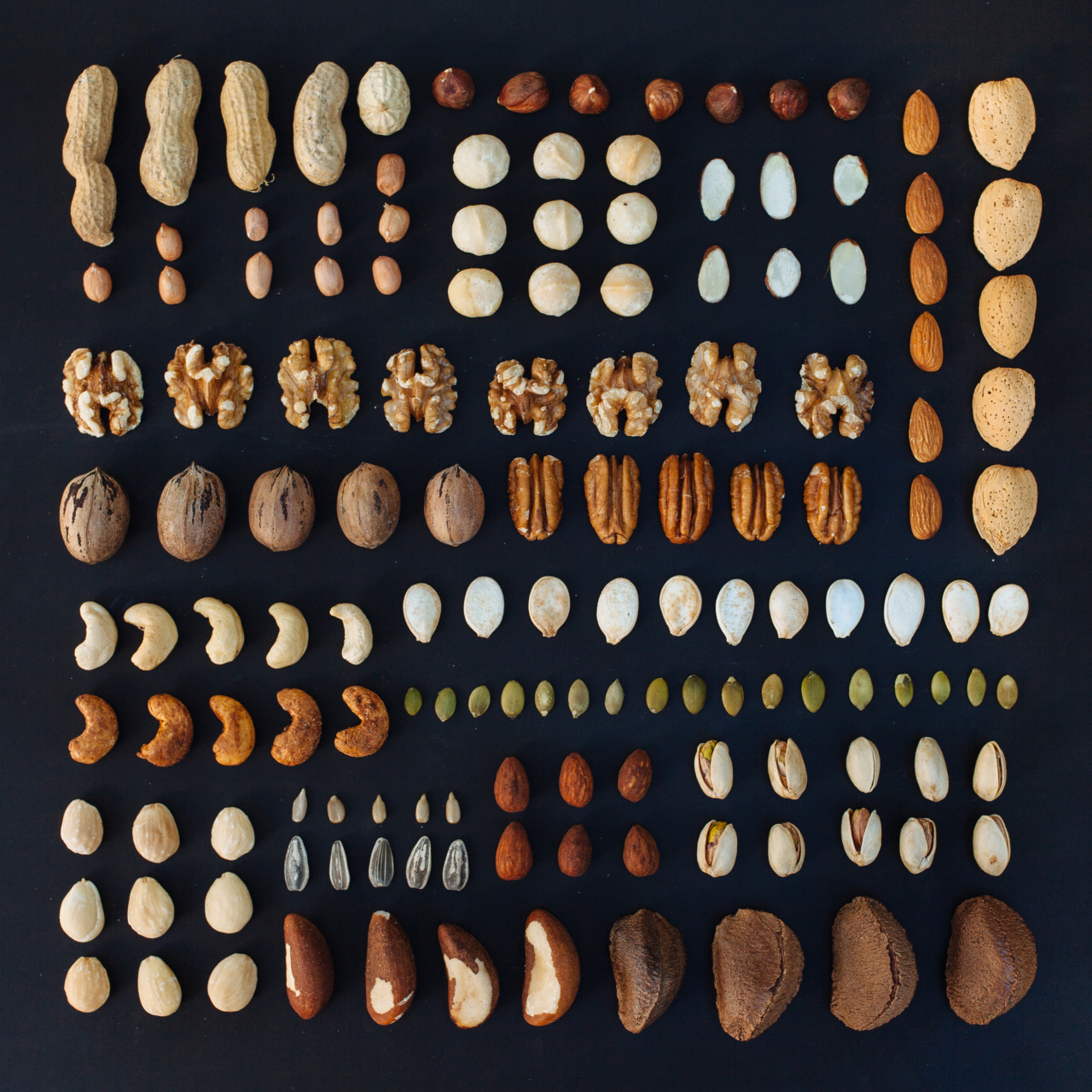 emilyblincoe:  DEEZ NUTS (and seeds, and legumes) emily blincoe (print) october