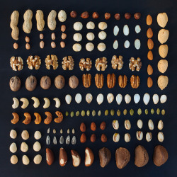 emilyblincoe:  DEEZ NUTS (and seeds, and