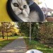 catasters: