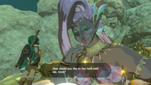 XXX jacobtheloofah: Hyrule has been thirsty for photo