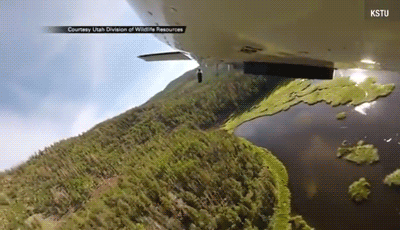 sanshodelaine:  madsciences:  higekihigure:  madsciences:  fencehopping:  Seeding