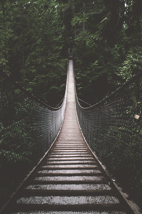 bronsonsnelling:   Lynn Canyon Suspension Bridge x Bronson Snelling            