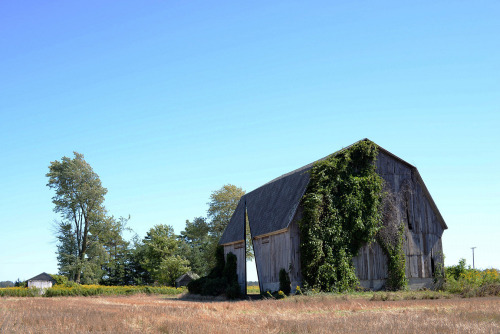 secret sky ~ catie newell / alibi studio | photos © alibi studio