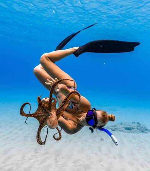 the-nauti-life:  Wanna wrestle?Nauti: Life is Better Where it’s Wetter…