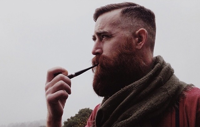 thedailybeard:  this looks a lot like my friend Matt. 