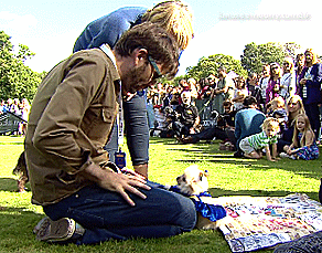 lunaseemoony:  How to spot a David Tennant fan at a dog show  