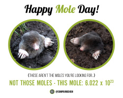 compoundchem:  Happy Mole Day! 