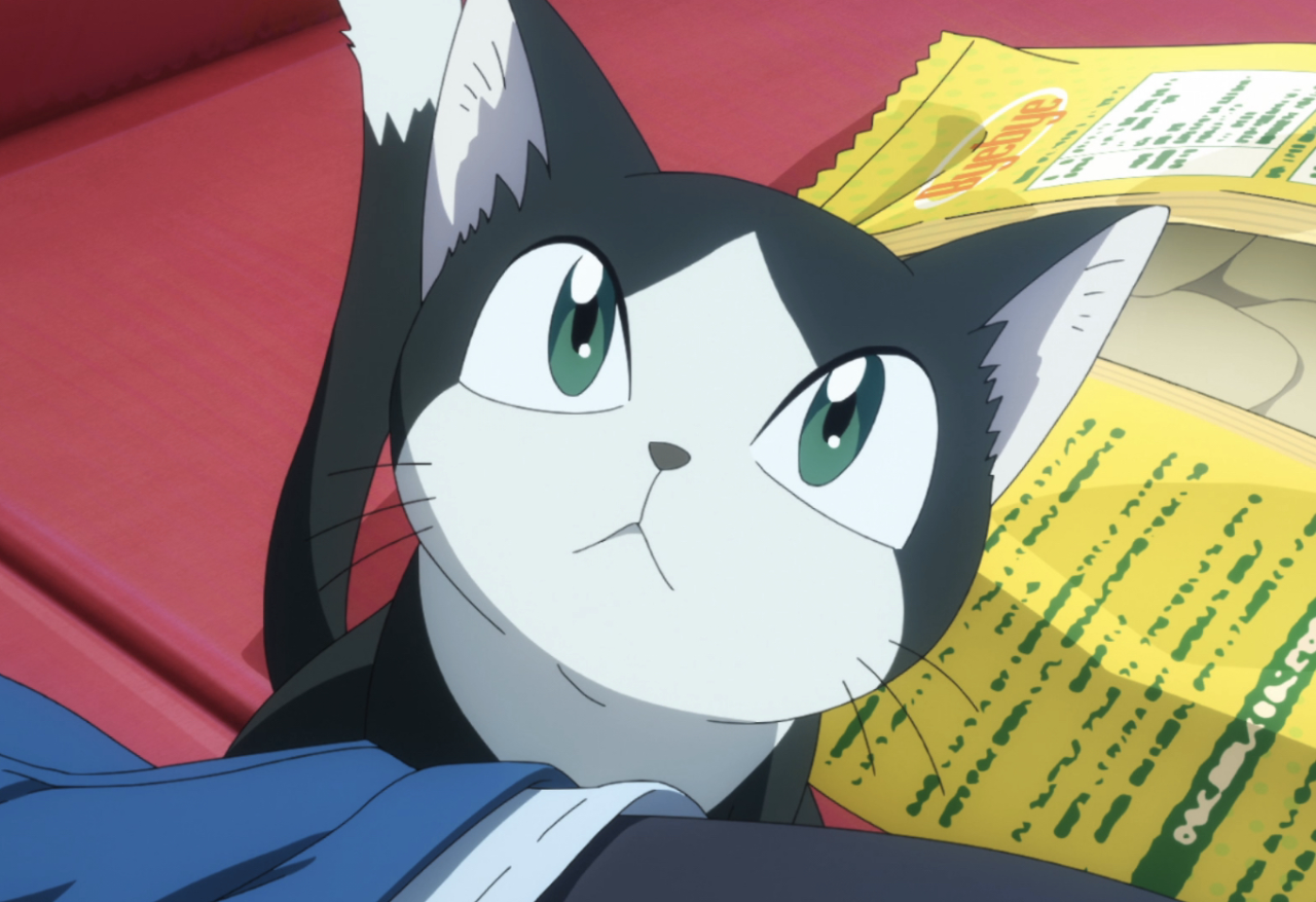 Anime Cat of the Day 🐾 — Anime Cat of the Day 10k Giveaway!