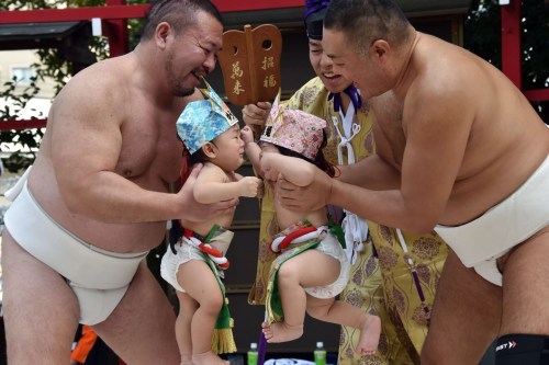 attractive-curves: 泣き相撲 - 居木神社, 大崎, 品川区, 東京Crying Baby Festival - Irugi Shrine, Ōsaki, Shinagawa, Tō