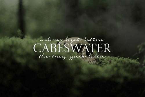 terrasn: @ravencyclenetwork search: locations“If one squinted into Cabeswater long enough, in 