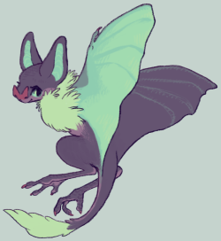 noivern: batty child