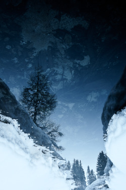 radivs:  Upside Down by Dario Marelli“Reflection in the icy lake.”  even more wow