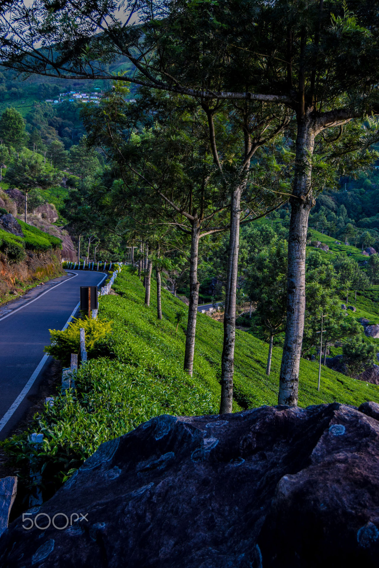 travelgurus:                                Munnar Shoot -   Town