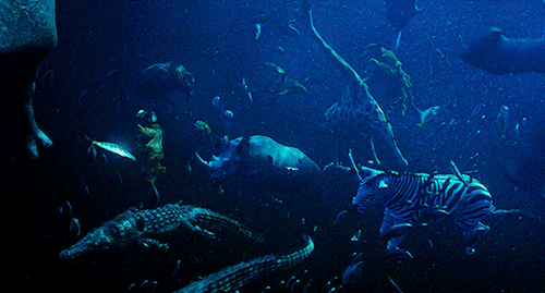 neillblomkamp:Life of Pi (2012) Directed by Ang Lee