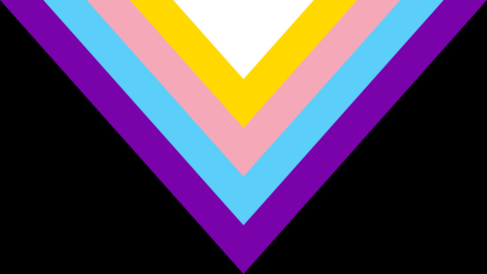 A black flag with wide V shaped stripes, white, yellow, pink, blue, purple. The stripes are color-picked from the trans and intersex pride flags.